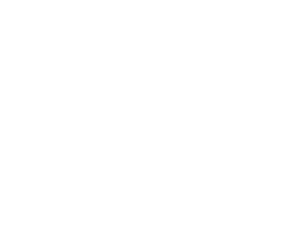 mir_logo_pri_w