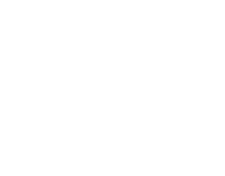 mir_logo_pri_w mir_logo_pri_w