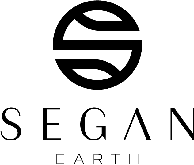 segan-b