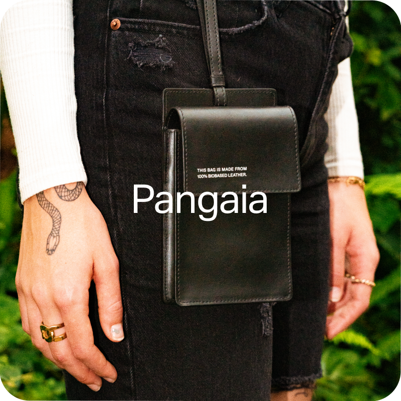 Feature pangaia