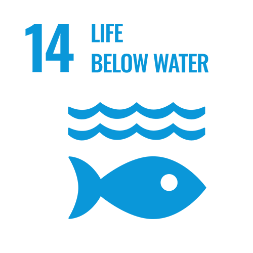 SDG_Icons_Inverted_Transparent_WEB-14 SDG_Icons_Inverted_Transparent_WEB-14
