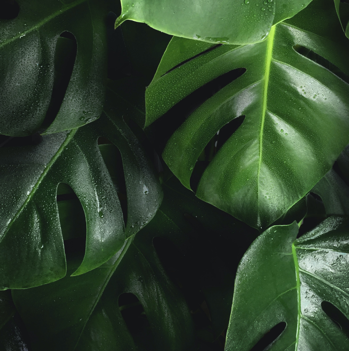 understanding circularity 2