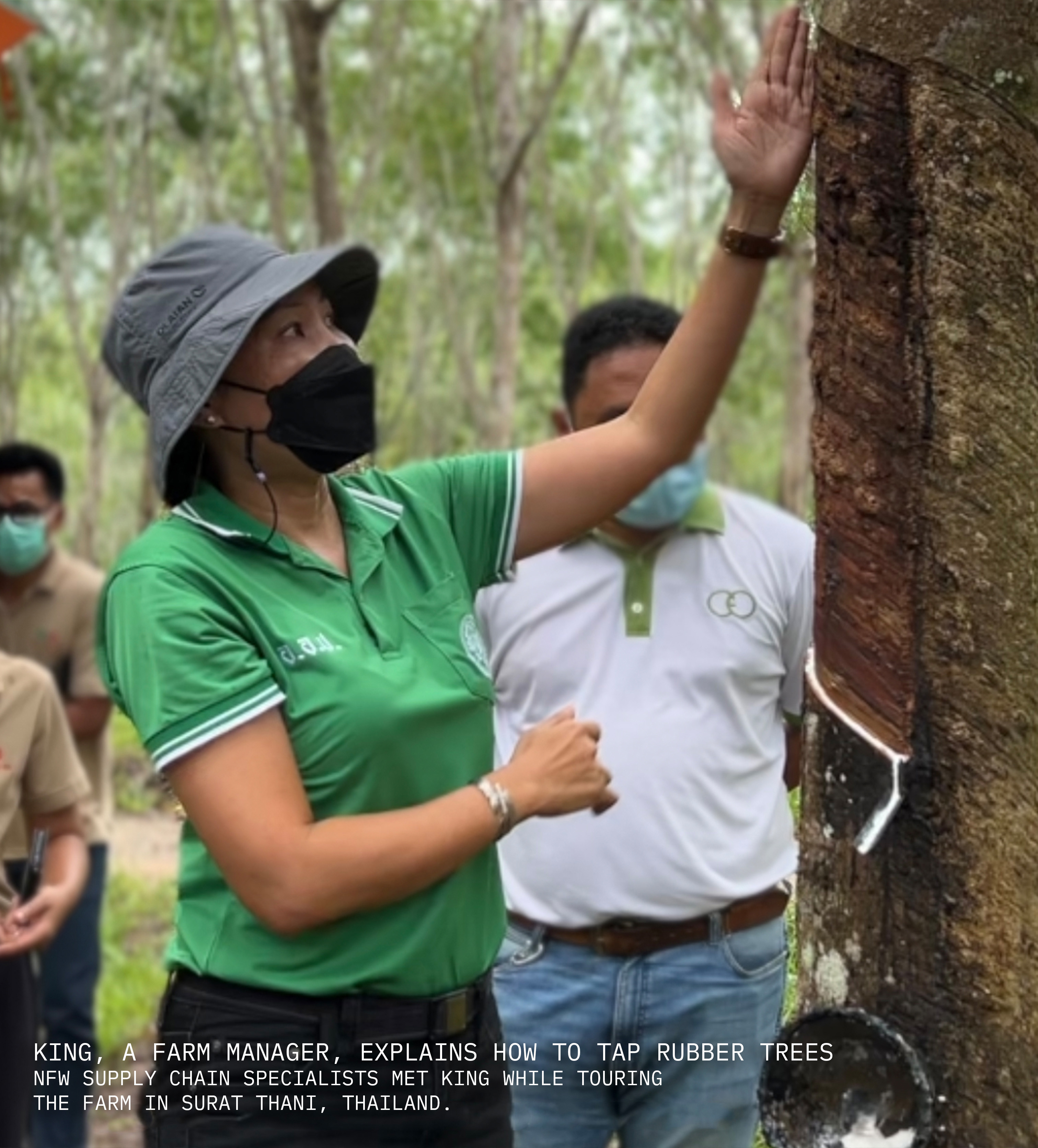 NFW-Rubber-Tapping_vertical_cap-1 NFW-Rubber-Tapping_vertical_cap-1