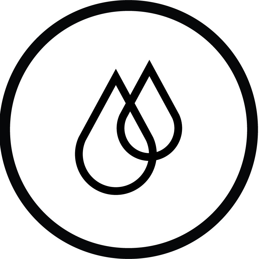 plant-based curative_circle plant-based curative_circle